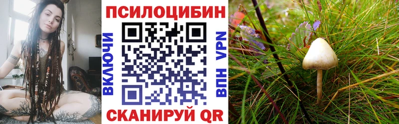 Галлюциногенные грибы Magic Shrooms  Купить закладки  Билибино 